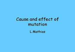 Cause And Effect Of Mutation PowerPoint Presentation