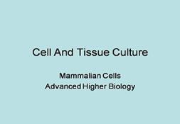 Cell And Tissue Culture PowerPoint Presentation