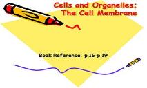 Cell Membrane Tissues & Organs Definitions PowerPoint Presentation