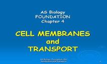 Cell Membranes PowerPoint Presentation