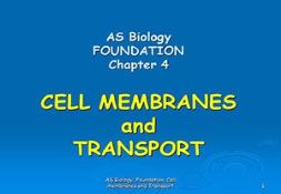 Cell Membranes PowerPoint Presentation