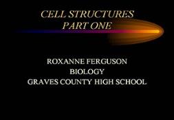 Cell Structure And Function PowerPoint Presentation