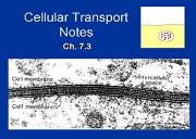 Cell Transport Powerpoint Presentation