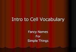 Cell Vocabulary Powerpoint Presentation