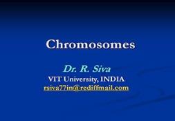 Chromosome PowerPoint Presentation
