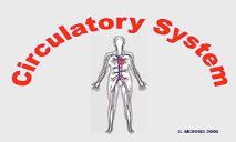 Circulatory System PowerPoint Presentation