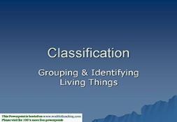 Classification Of Animals PowerPoint Presentation