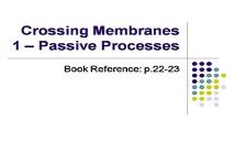 Crossing Membranes Passive Processes PowerPoint Presentation