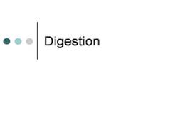 Digestion-Higher Level PowerPoint Presentation