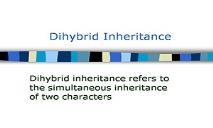 Dihybridinheritance PowerPoint Presentation