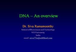 Dna-An Overview PowerPoint Presentation