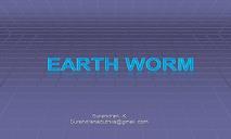 Earthworm PowerPoint Presentation