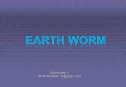 Earthworm PowerPoint Presentation