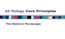 Electronmicroscope PowerPoint Presentation