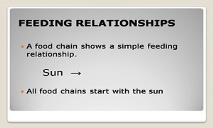 Feeding Relationships PowerPoint Presentation