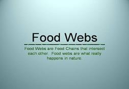 Food Webs PowerPoint Presentation