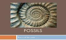 Fossils PowerPoint Presentation