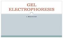 Gel Electrophoresis PowerPoint Presentation