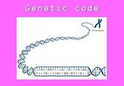 Genetic Code PowerPoint Presentation