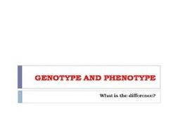 Genotype And Phenotype PowerPoint Presentation