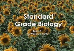Growing Plants PowerPoint Presentation