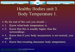 Healthy Bodies PowerPoint Presentation