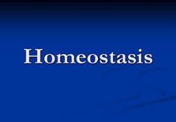 Homeostasis Of The Body PowerPoint Presentation