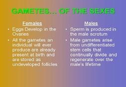 Hormones Powerpoint Presentation
