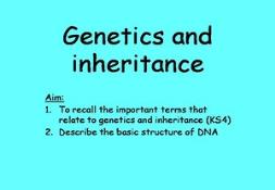 Inheritance Assessment Powerpoint Presentation
