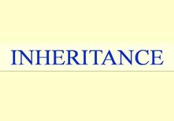Inheritance Basic Powerpoint Presentation
