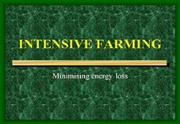 Intensive Farming PowerPoint Presentation