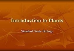 Introduction To Plants Powerpoint Presentation