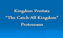 Kingdom Protista PowerPoint Presentation