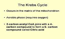 Krebs Cycle PowerPoint Presentation