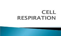 Cell Respiration PowerPoint Presentation