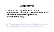 Lac Operon PowerPoint Presentation