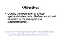 Lac Operon PowerPoint Presentation