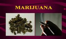 Marijuana PowerPoint Presentation