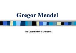Mendel Powerpoint Presentation