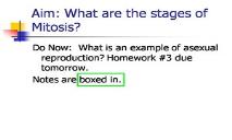 Mitosis PowerPoint Presentation
