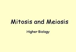 Mitosis And Meiosis Powerpoint Presentation