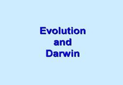 Natural Selection PowerPoint Presentation