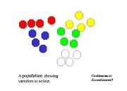 Natural Selection Model Powerpoint Presentation