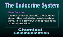 Nerve And Endocrine Systems PowerPoint Presentation