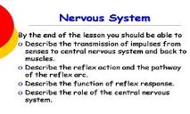 Nervous System PowerPoint Presentation