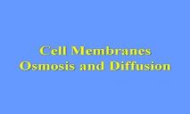 Osmosis & Diffusion PowerPoint Presentation