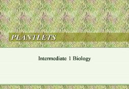 Plantlets Powerpoint Presentation