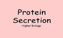 Protein Secretion PowerPoint Presentation