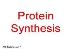 Protein Synthesis Simplified Powerpoint Presentation