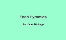 Pyramids PowerPoint Presentation